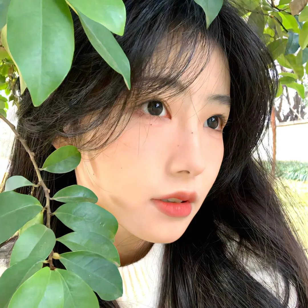 白鬃野马