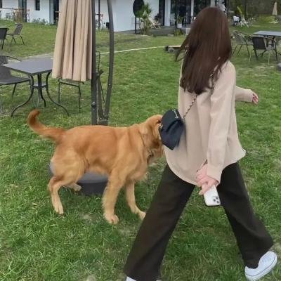 法医秦明